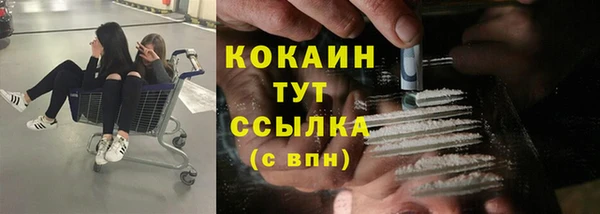 PSILOCYBIN Россошь