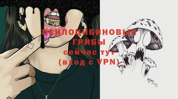 PSILOCYBIN Россошь