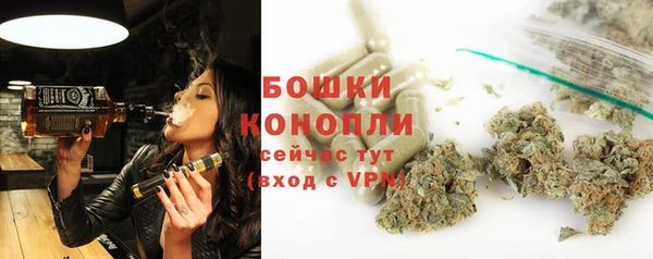 PSILOCYBIN Россошь
